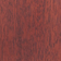 Cinnamon